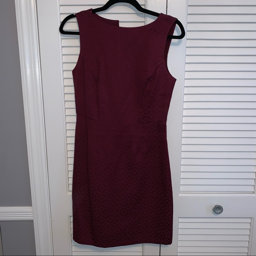 Fitted Maroon Dress